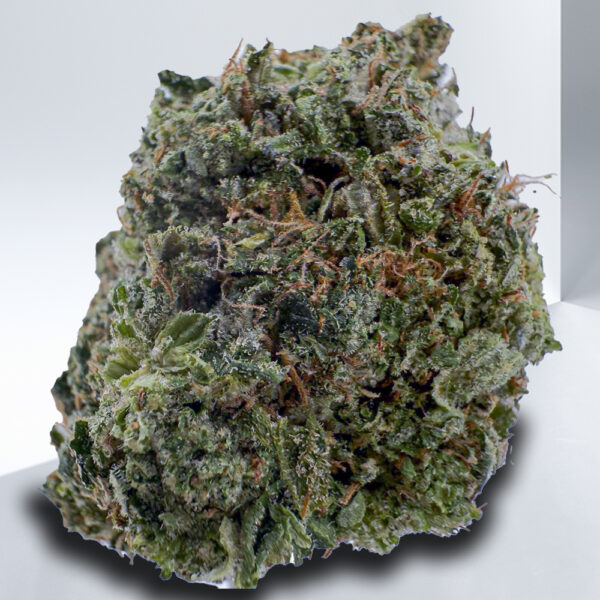 432-Death-Bubba-1.jpg