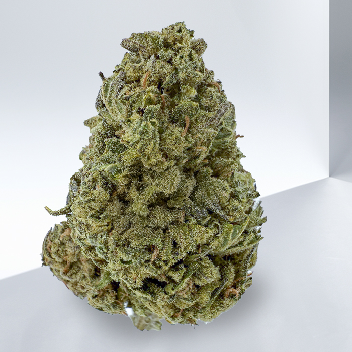 239-PURPLE-PUNCH.jpg