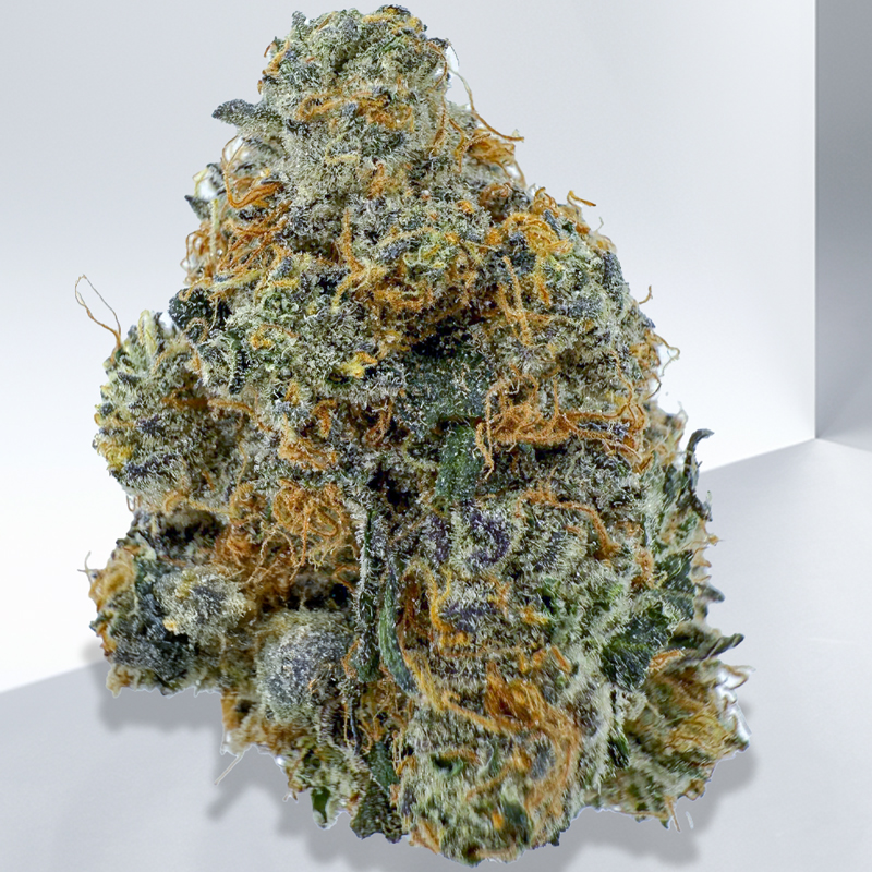 427-Gorilla-Gelato-1.jpg