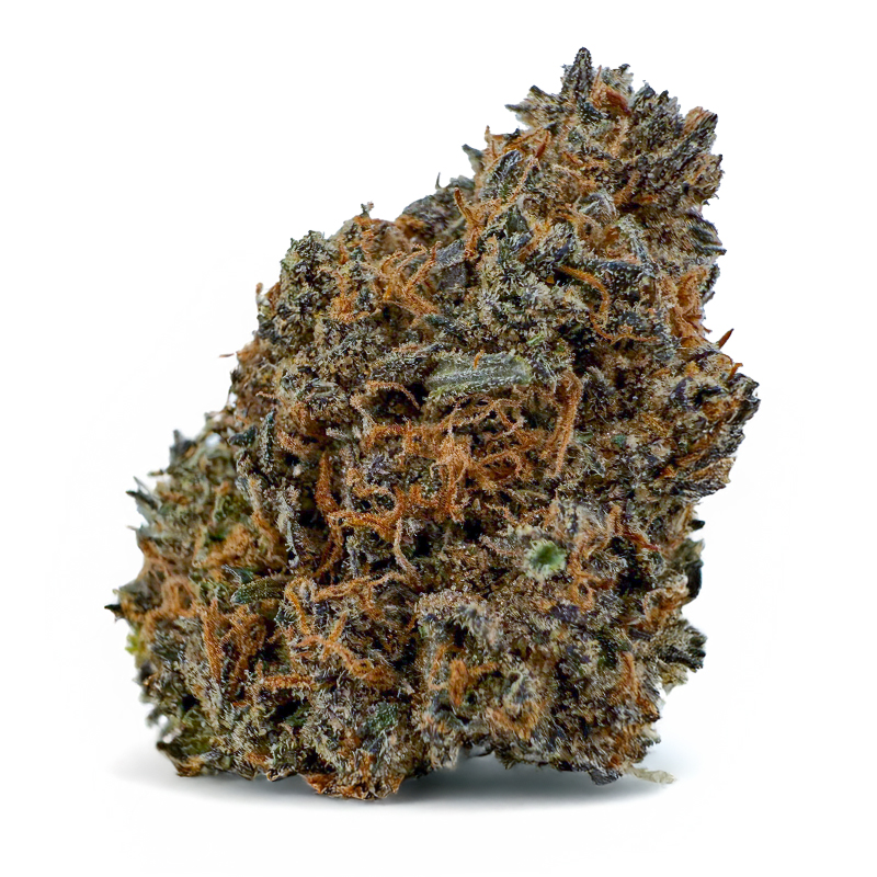 325-PURPLE-RUNTZ-99112-38lbs-1.jpg